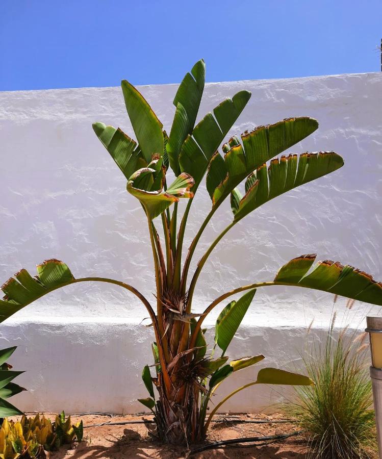 Casa Vivi Fuerteventura Apartamento Corralejo Exterior foto